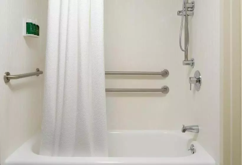 اتاق استاندارد با تخت بزرگ, Courtyard By Marriott Lynchburg
