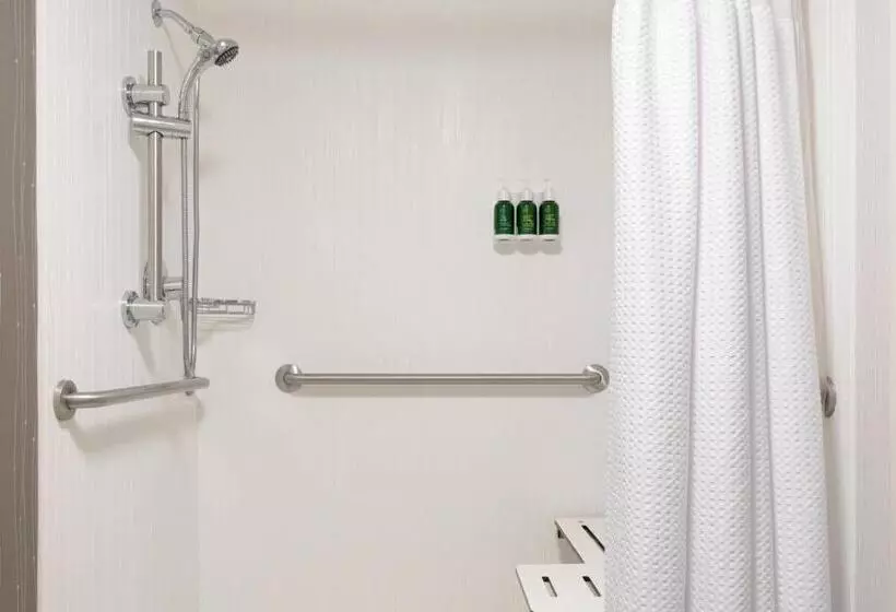 اتاق استاندارد با تخت بزرگ, Courtyard By Marriott Lynchburg