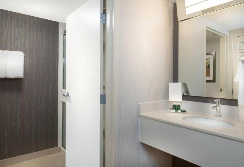 스탠다드 룸 킹사이즈 침대, Courtyard By Marriott Lynchburg
