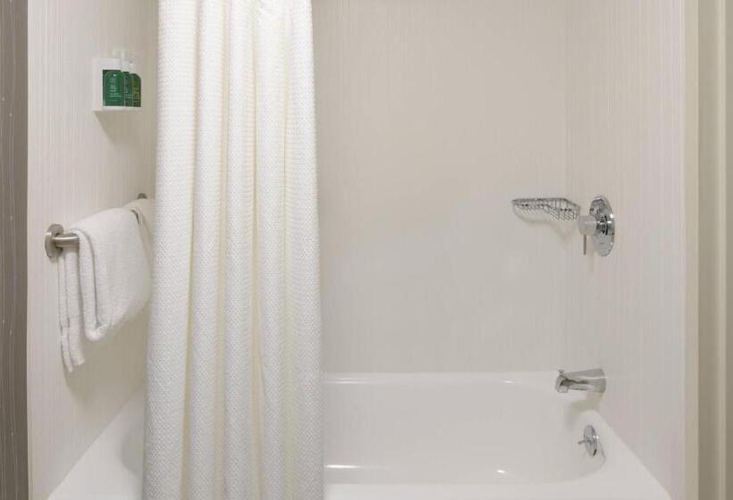 غرفة قياسية سرير كينج, Courtyard By Marriott Lynchburg