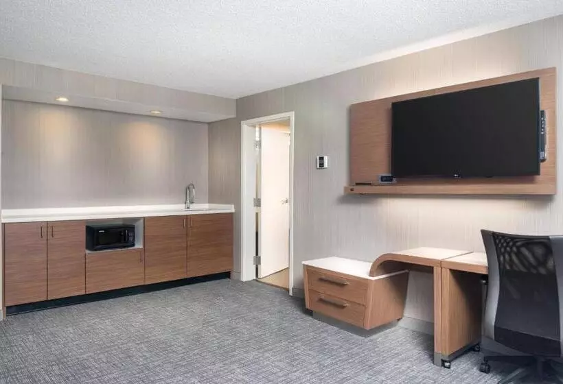 سوئیت با تخت بزرگ, Courtyard By Marriott Lynchburg