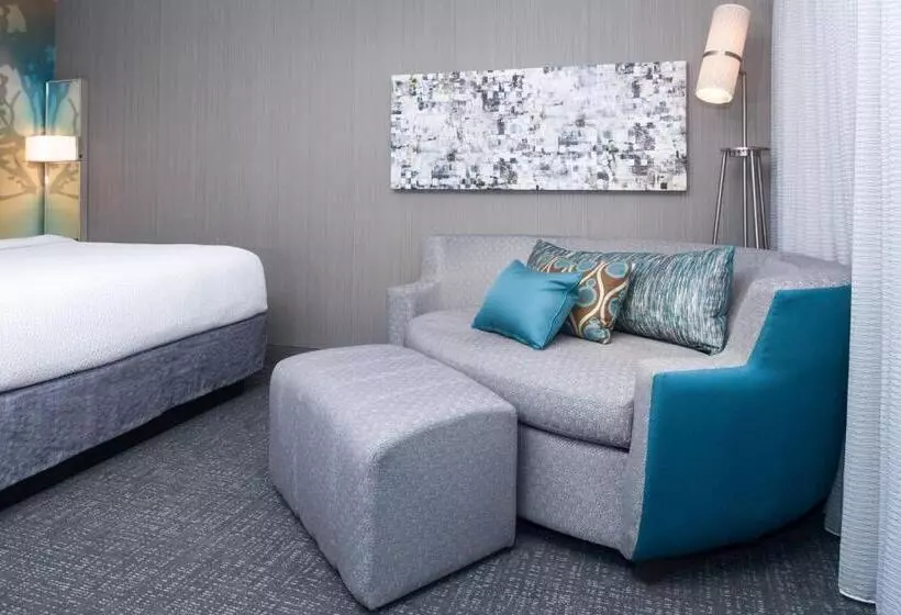سوئیت با تخت بزرگ, Courtyard By Marriott Lynchburg