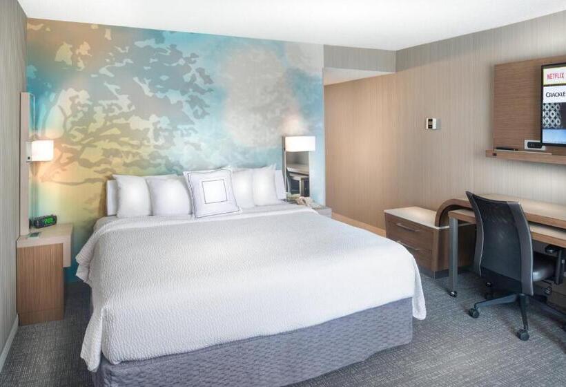 Quarto Estandar Cama King, Courtyard By Marriott Lynchburg