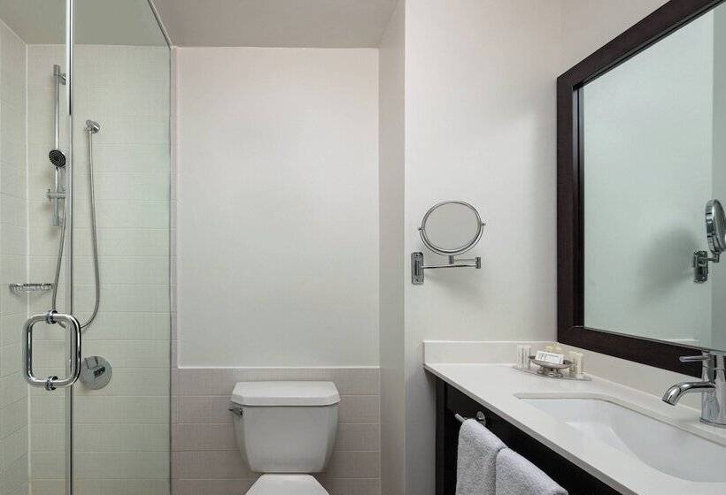 غرفه قياسيه سريرين مزدوجين, Courtyard New York Manhattan/times Square