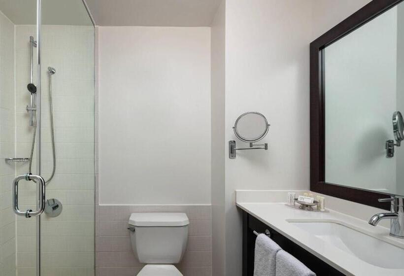 غرفة قياسية ذات إطلالة, Courtyard New York Manhattan/times Square