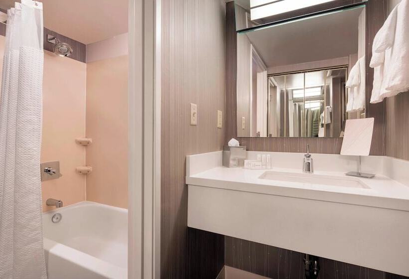 غرفه قياسيه سريرين مزدوجين, Courtyard By Marriott Scottsdale Old Town