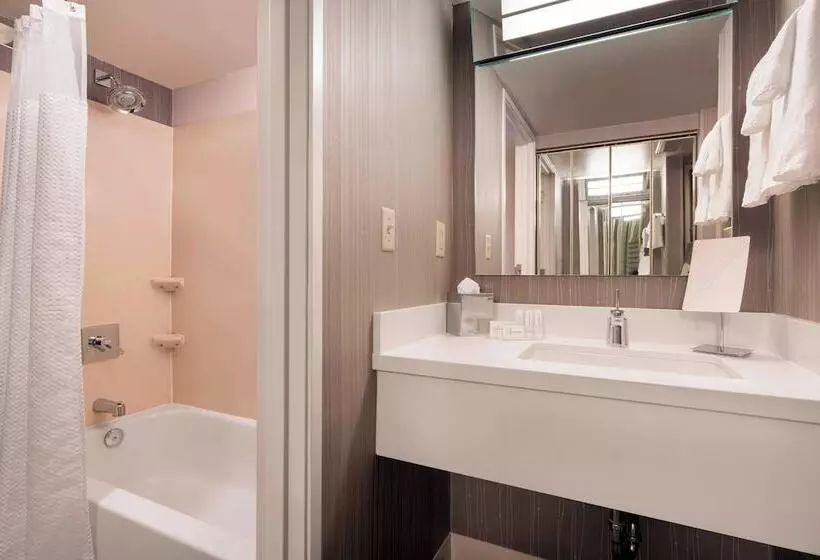 اتاق اجرایی, Courtyard By Marriott Scottsdale Old Town