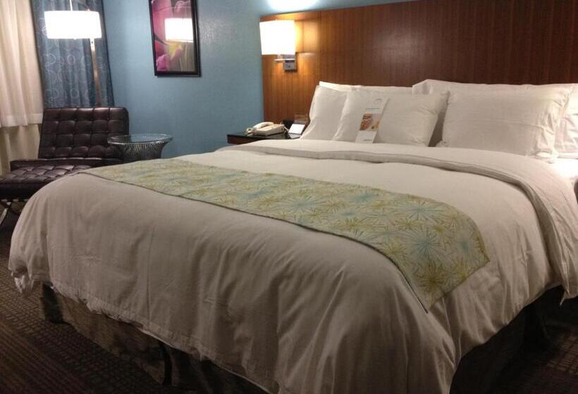 장애인을 위한 스탠다드 룸, Doubletree By Hilton Chatsworth