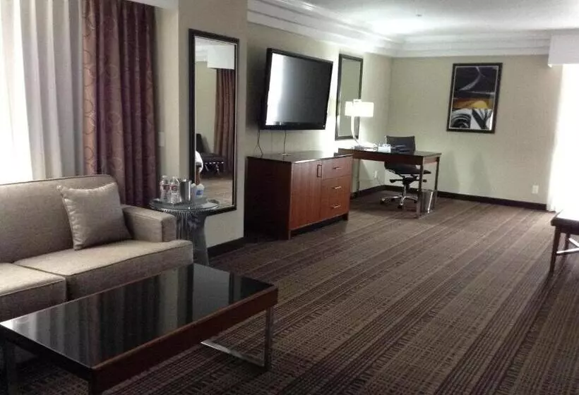 استودیو استاندارد با تخت کینگ, Doubletree By Hilton Chatsworth