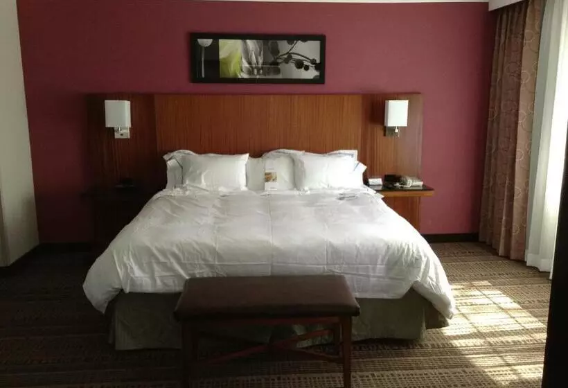 استودیو استاندارد با تخت کینگ, Doubletree By Hilton Chatsworth