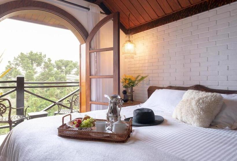 带大床的复式套间, Alma