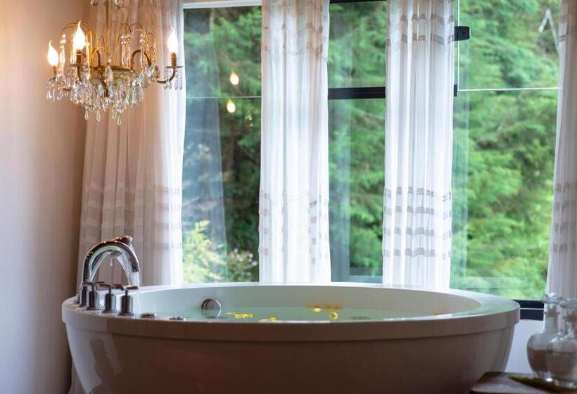 Номер Стандарт, Alma