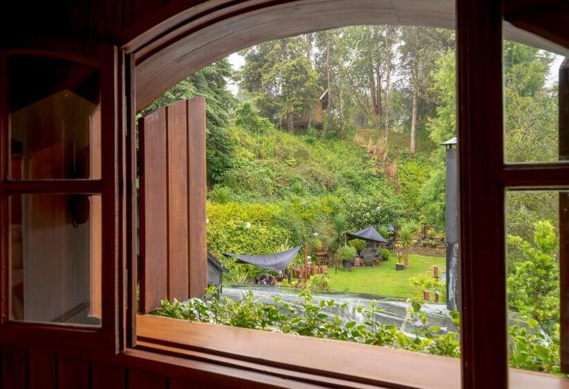 Люкс Повышенной Комфортности, Alma