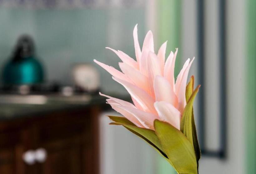 استودیوی استاندارد, Ischia Dream Sunset