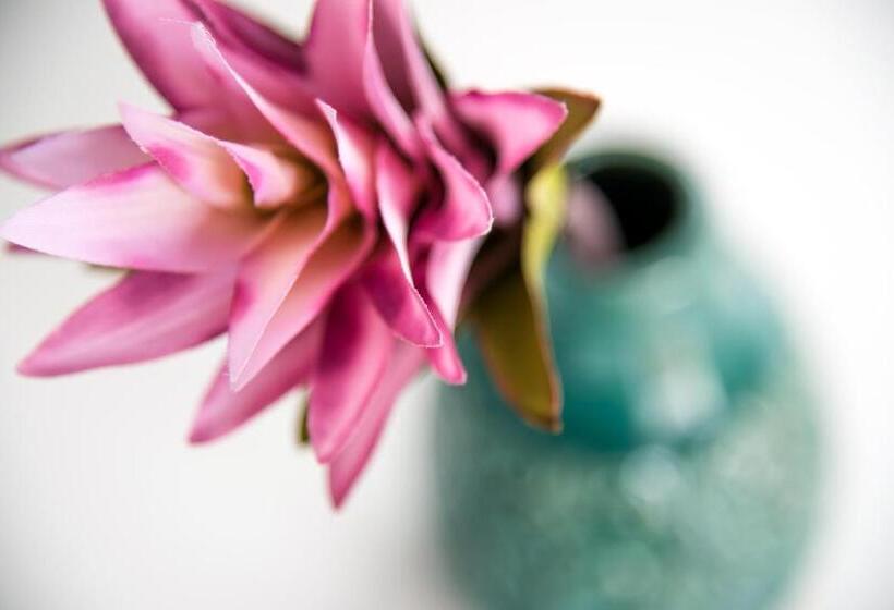 استودیو استاندارد با تراس, Ischia Dream Sunset