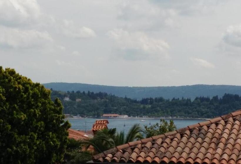 اتاق استاندارد با چشمانداز باغ, Villa Senegačnik