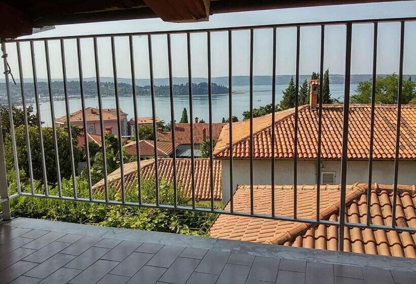 اتاق پنت هاوس, Villa Senegačnik