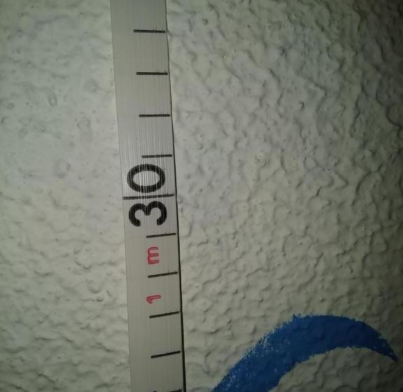 اتاق پنت هاوس, Villa Senegačnik