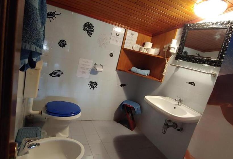 اتاق پنت هاوس, Villa Senegačnik