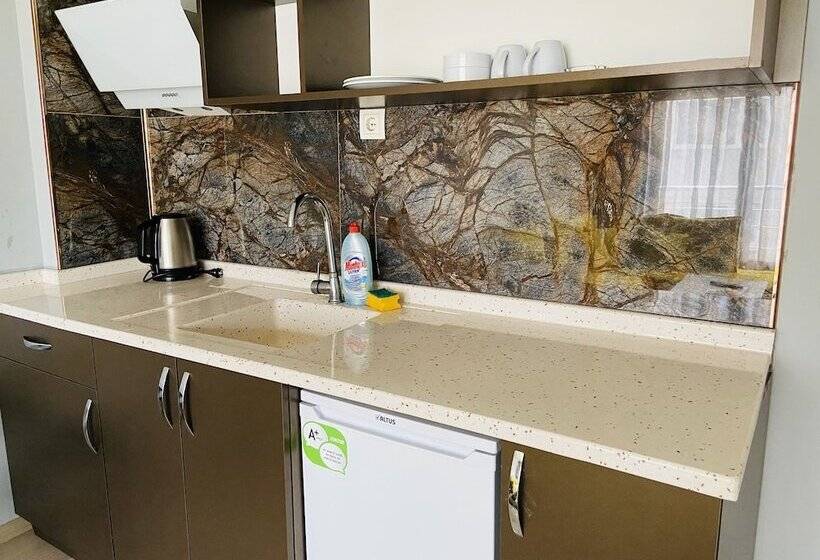 豪华套房, Otto Loft Premium Apartments