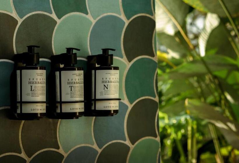 디럭스 스위트 킹 침대, Rancho Eden