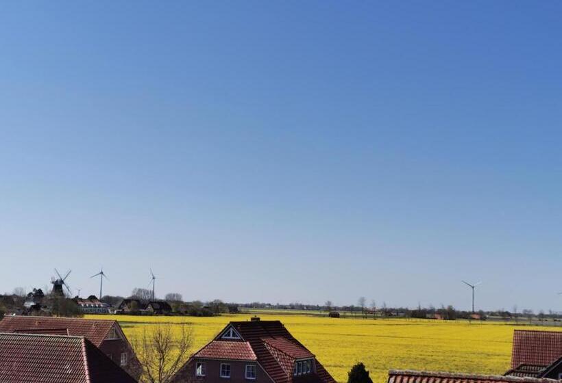 이코노미 룸, Blischke