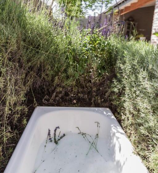 סוויטת סופריור, Veranda House Boutique Accommodation