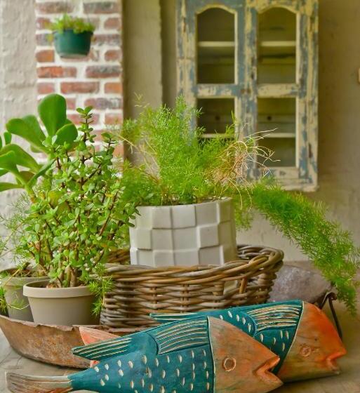 סוויטת סופריור, Veranda House Boutique Accommodation