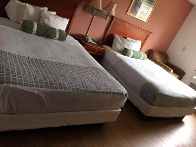 اتاق استاندارد, America S Best Value Inn Marion