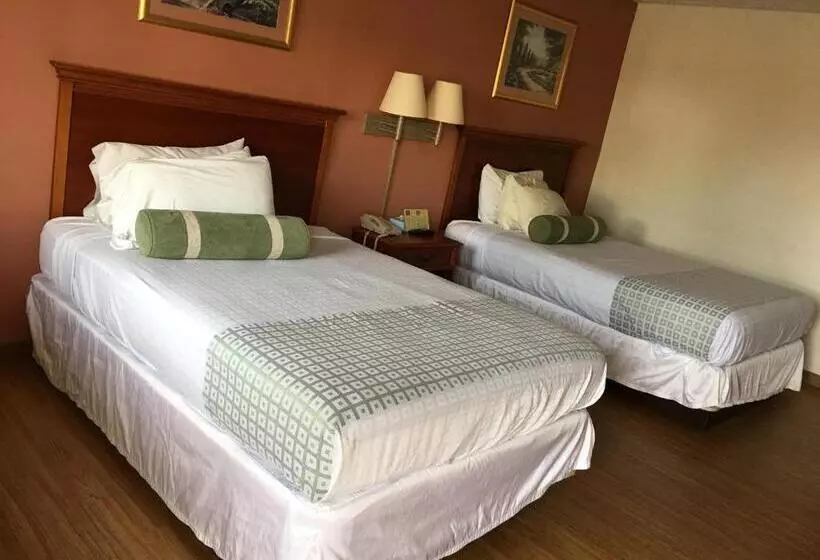 اتاق استاندارد, America S Best Value Inn Marion