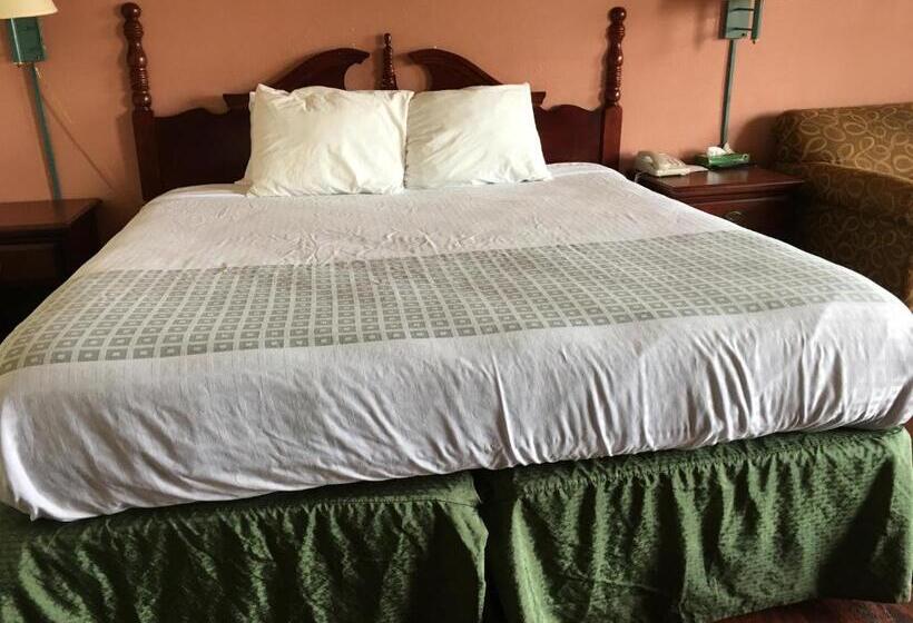 غرفة قياسية سرير كينج, America S Best Value Inn Marion