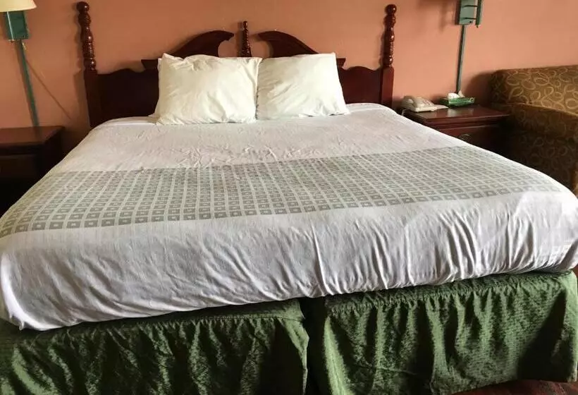 اتاق استاندارد با تخت بزرگ, America S Best Value Inn Marion