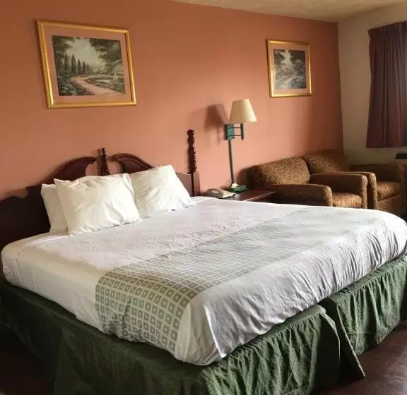 اتاق استاندارد با تخت بزرگ, America S Best Value Inn Marion