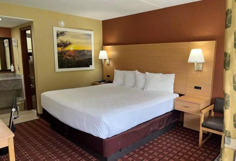 キングサイズベッドのスタンダードルーム, Serenity Inn Sweetwater