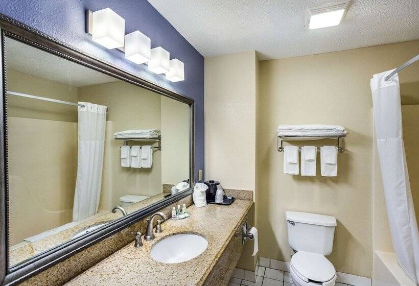 ２ダブルベッドのスタンダードルーム, Comfort Inn