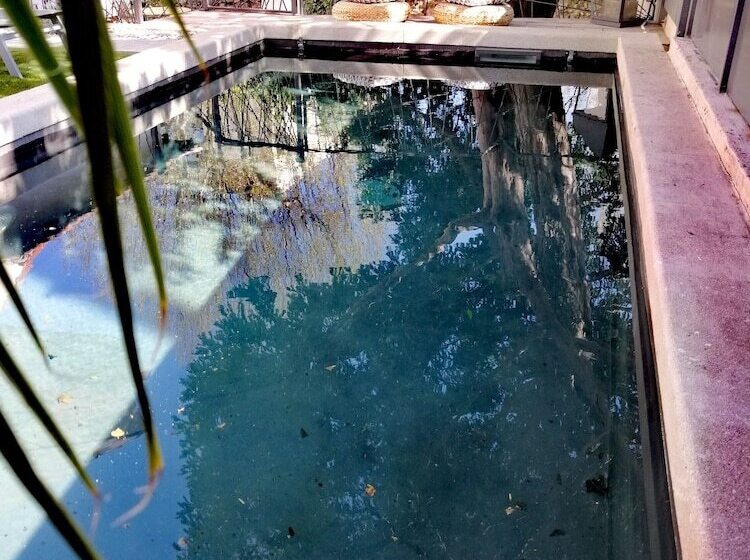 سوییت سوپریور, La Maison Grivolas Appartements Et Maison D Hôtes