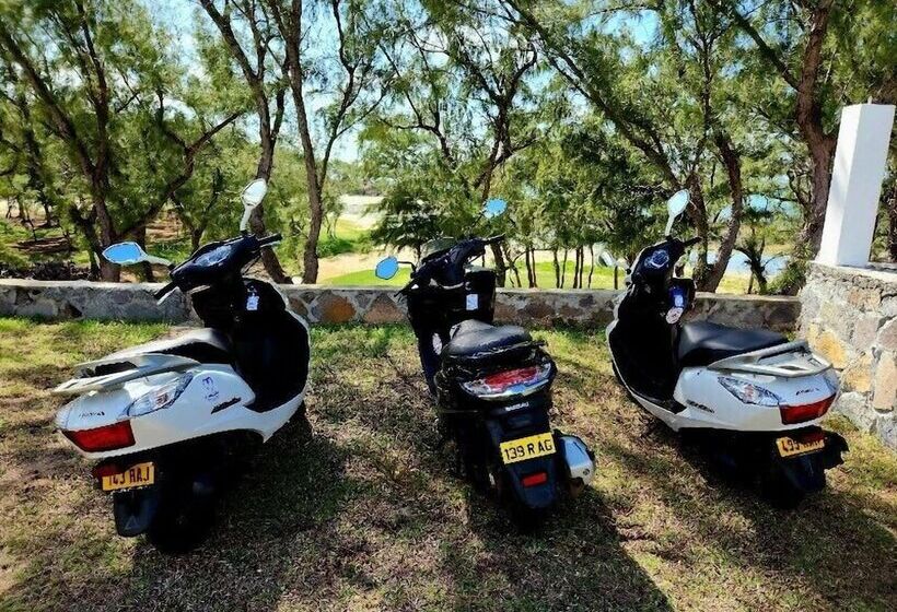 اتاق عادی با تخت دوبل, Le Shanoa