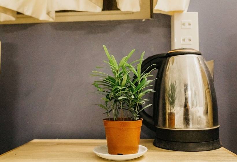 اتاق استاندارد چهارنفره با سرویس بهداشتی مشترک, Levit'ss