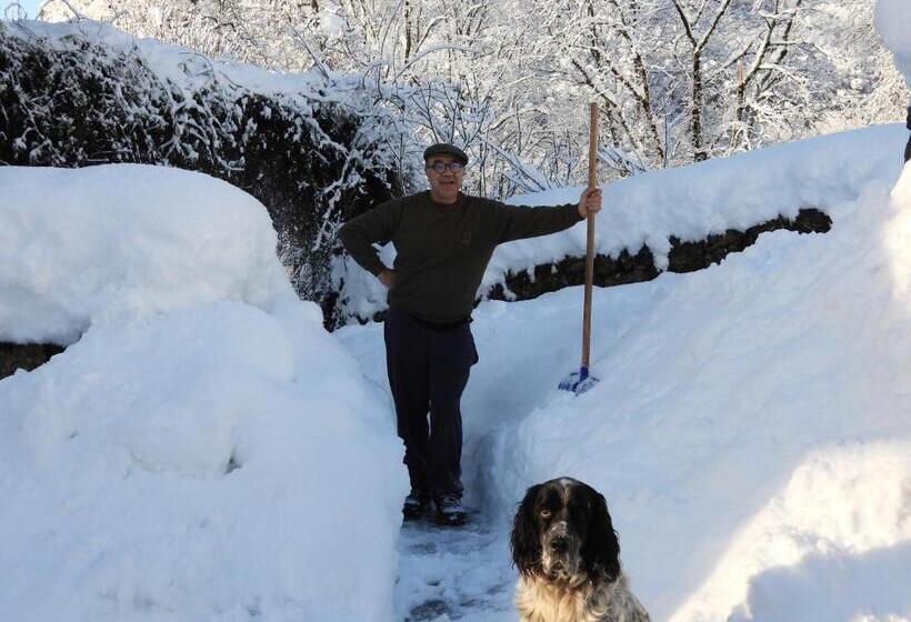 스탠다드 룸 가든 전망, Le Figarelou
