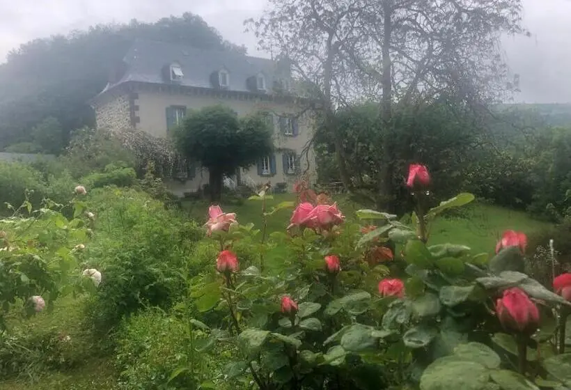 デラックスルーム, Le Figarelou