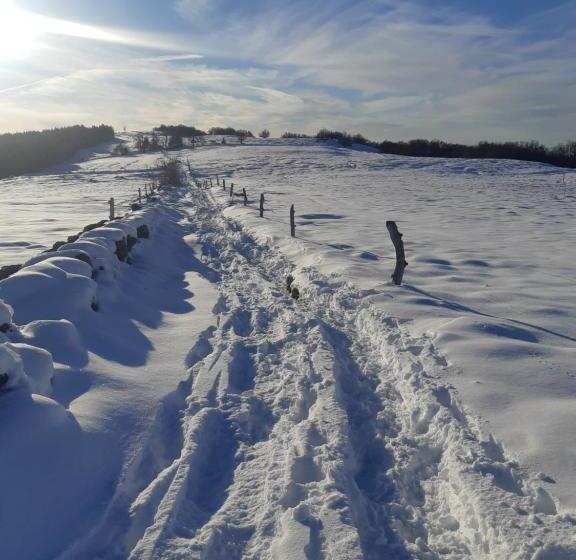 스탠다드 룸 가든 전망, Le Figarelou