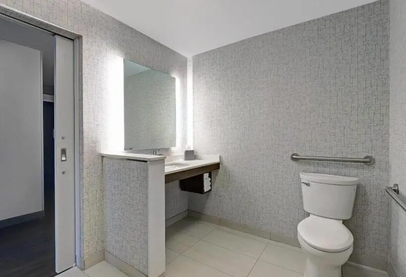 身障者適用キングサイズベッドルーム, Holiday Inn Express   Kingston West, An Ihg