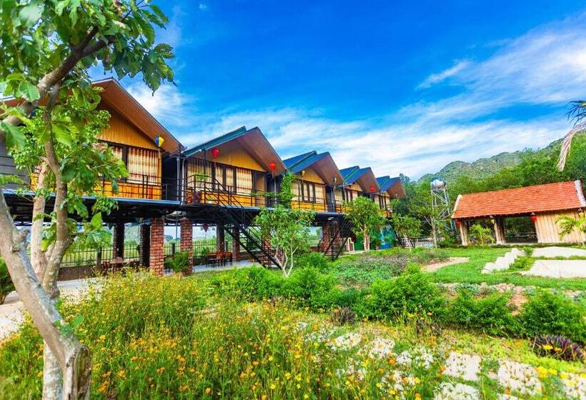اتاق استاندارد چهار تخته, Phong Nha Bolero Bungalow