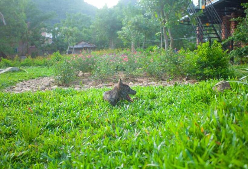 اتاق استاندارد چهار تخته, Phong Nha Bolero Bungalow