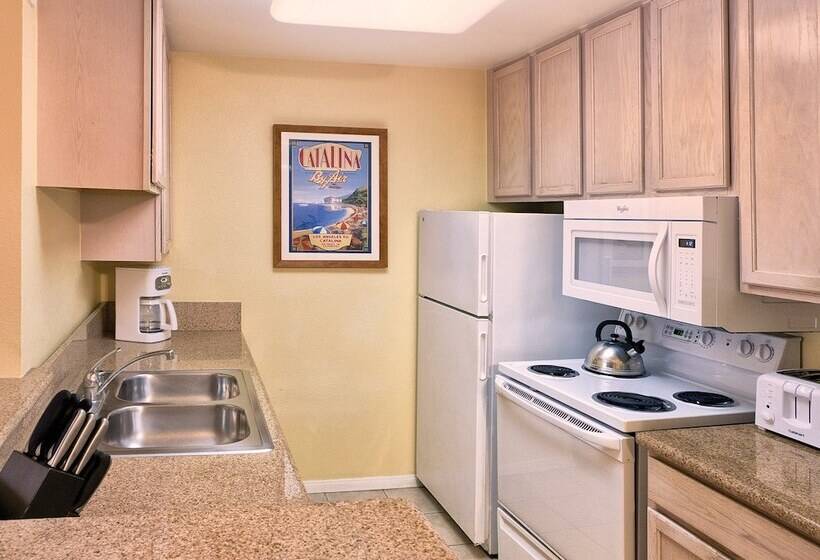 ２ベッドルームアパートメント, Club Wyndham Dolphin S Cove