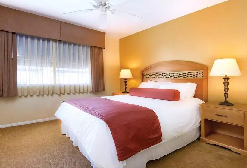 ２ベッドルームアパートメント, Club Wyndham Dolphin S Cove