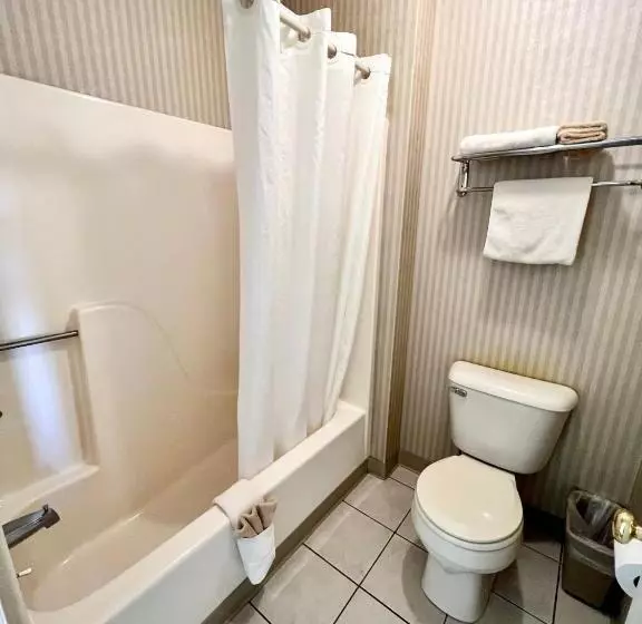 キングサイズベッドのスタンダードルーム, Court Plaza Inn & Suites Of Mackinaw
