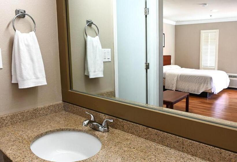 スタンダードルーム, Days Inn By Wyndham San Francisco S/oyster Point Airport