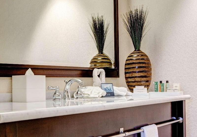 适合残疾人使用的标准间, Days Inn By Wyndham Winston Salem North