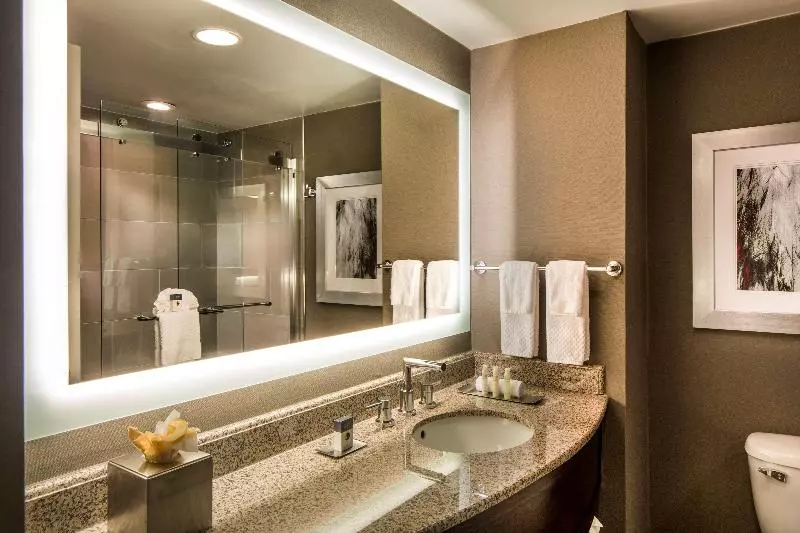 キングサイズベッドのスタンダードルーム, Doubletree By Hilton Hotel Largo/washington Dc
